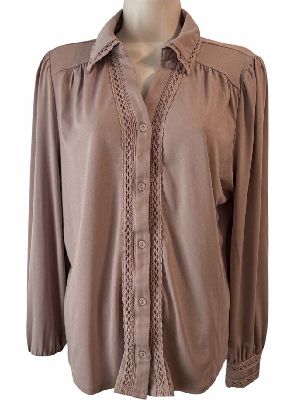 Adrianna Papell Lace Trim Blouse in Dusted Taupe Worn Once